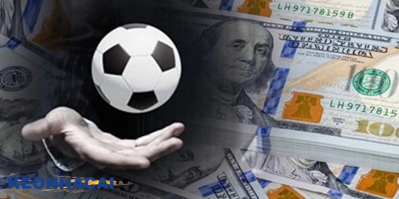 Cách Ra Quyết Định Trong Cá Độ - Chiến Lược Chơi Hiệu Quả