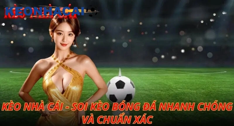Tổng quan sơ lược về soi kèo nhà cái